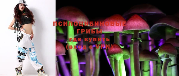 мет Алексин