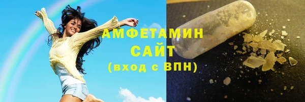 мет Алексин
