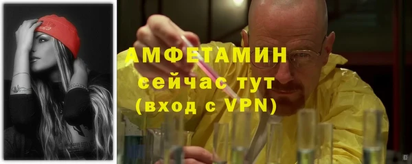 мет Алексин