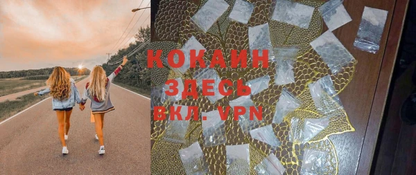 мет Алексин