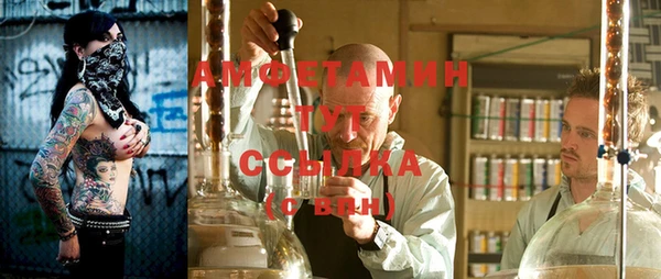 мет Алексин