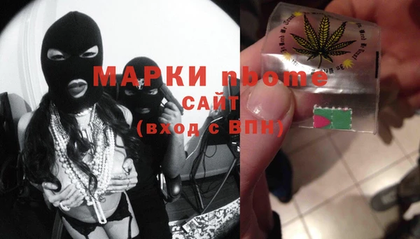 мет Алексин