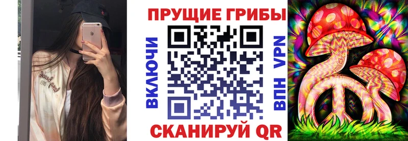 Псилоцибиновые грибы Cubensis  как найти наркотики  Ишим 