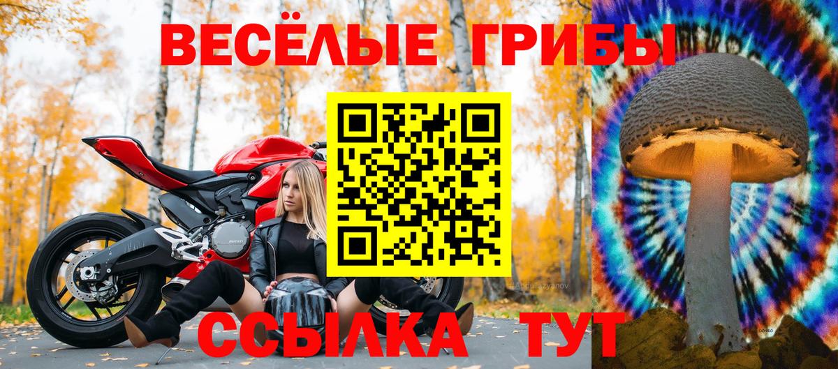 Ишим  даркнет сайт  Псилоцибиновые грибы мицелий  Вход с VPN  Галлюциногенные грибы Magic Shrooms 